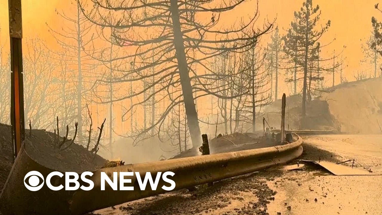 California's Line Fire quadruples in size amid triple-digit temperatures