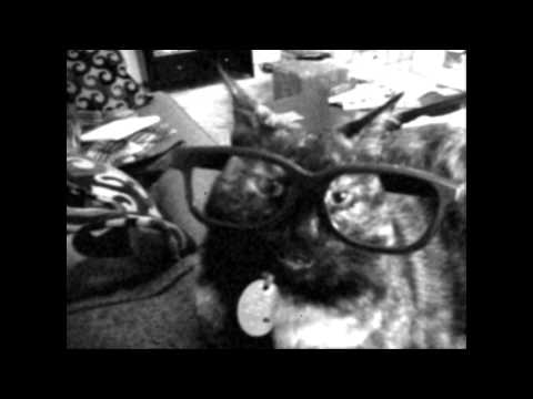 Founder of the Witty Kitty Committee