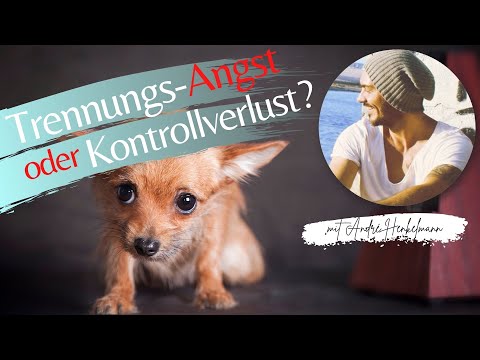 Trennungsangst oder Kontrollverlust? So erkennst du den Unterschied!Inkl. Tipps zum Alleine bleiben!