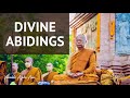 Divine Abidings Ajahn Anan 22 Nov 2021