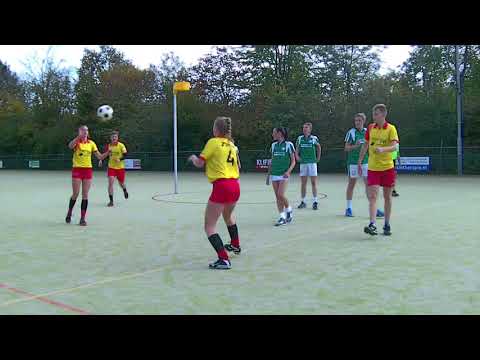 ASVD A2 - Flamingo's A1   eerste helft deel 1