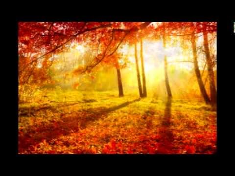 Alen Bičević - Jesen stiže dunjo moja (cover)