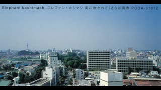 さらば青春
