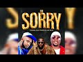 H Baba Feat Pasha Mr Blue I M Sorry Audio Visual