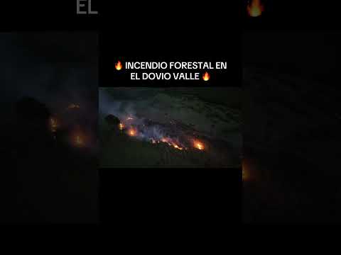 Incendio forestal en el Dovio valle