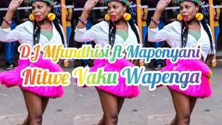 Download lagu Dj Mfundhisi ft Maponyani - Nitwe Vaku Wapenga [2020] mp3