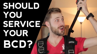 Should You Service Your BCD? | Quick Scuba Tips