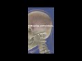 Test Your Body Smarts Quick Quiz