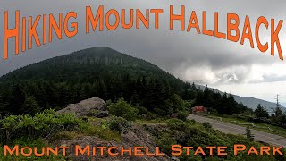 Hiking Mount Hallback - Mount Mitchell State Park