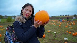 best pumpkin patch in the UK , Hitchin Lavendar 🎃 | how to make pumpkin soup | things to do in UK 🇬🇧