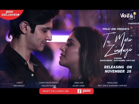 Keshav Kumar Tu Meri Zindagi