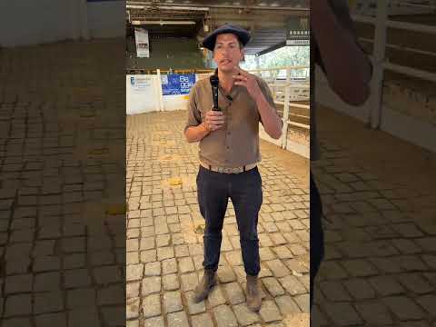 Análisis del remate de hacienda Consignaciones Córdoba 17/11/2025.