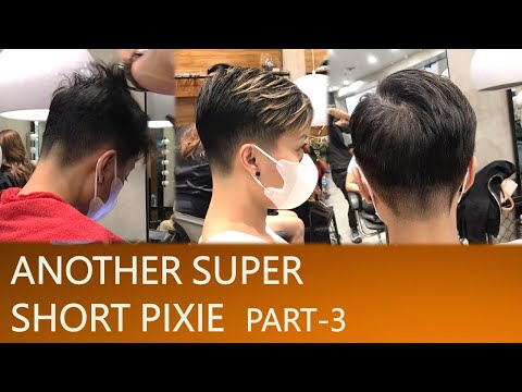 PART-3 FINAL   Another Super Short Pixie