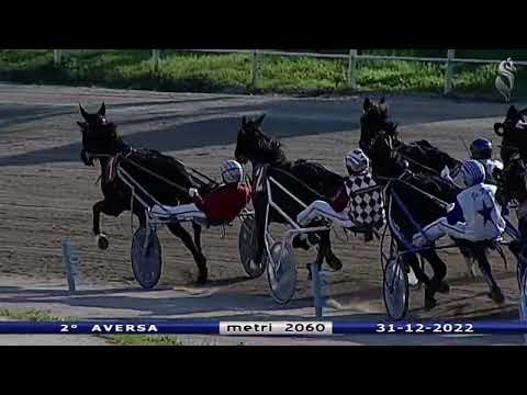 Aversa trotto 31 Dicembre 2022 - 2° Corsa