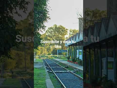 Suipacha Buenos Aires. Ruta Nacional 5