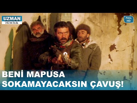 Beni Mapusa Sokamayacaksın Çavuş! - Katırcılar