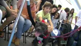 A Barcelona es busca amor