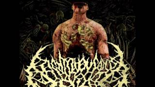 Eighty Thousand Dead - Spinal Reconfiguration