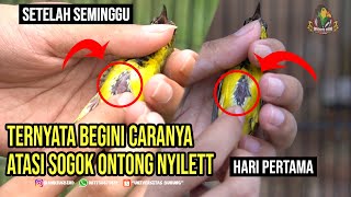 Download lagu How to overcome Sogok Ontong Nyilet / thin mp3