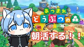 【あつ森】朝活！案内所が拡大した！ # 008