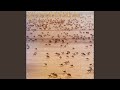 Race for the Oasis