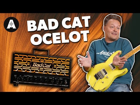 Video ID Gk_sFVtEqWk