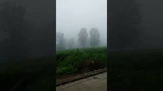 Download lagu Suasana Jalanan Puncak Bogor‼️ #bogor #puncakbogor #puncak mp3