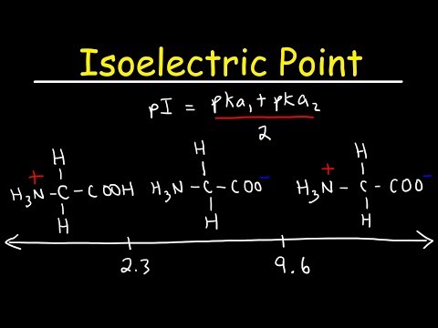 How To Calculate The Isoelectric Point of Amino Acids and Zwitterions