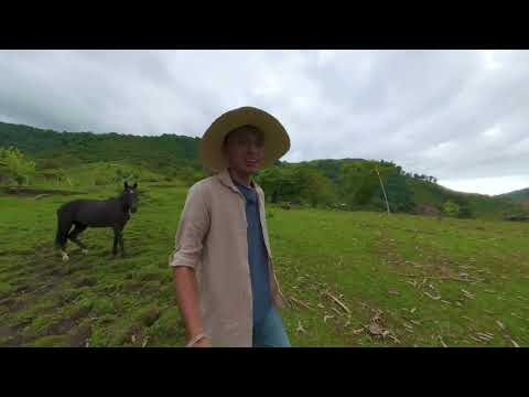 THE AGRICULTURAL TEACHER | A DREAM THAT CROSSES MOUNTAINS