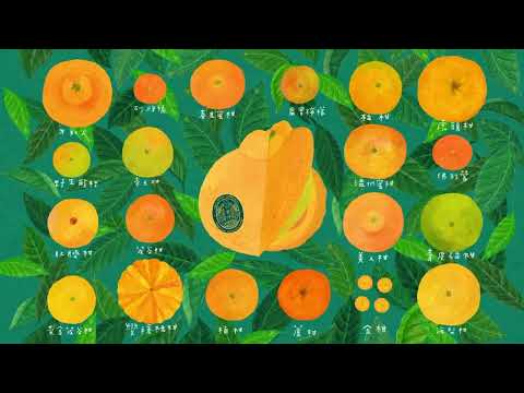 臺中市豐原區公老坪社區