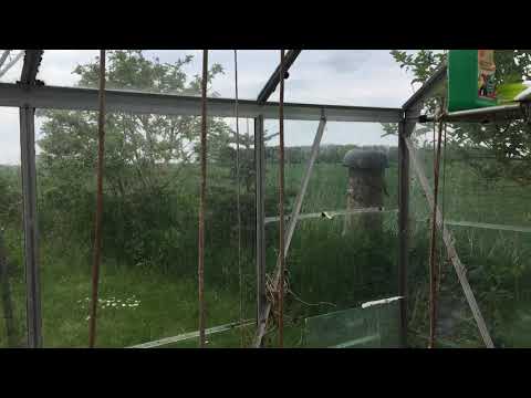 Lagermandens  betragtninger#1