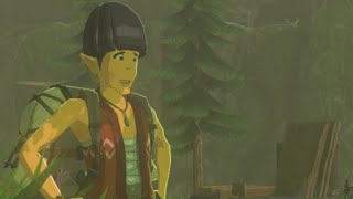 地底でのゾナニウムとポウ集めをやりたくってェ…【ゼルダの伝説 ティアーズ オブ ザ キングダム】【無言録画配信】