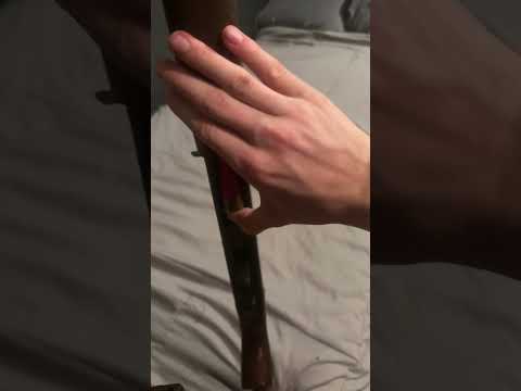 If I Could Only Have ONE Browning Semi-Auto