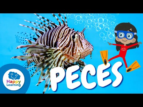 COSAS QUE NO SABÍAS SOBRE LOS PECES  | Happy Learning 🐟🐠🎣