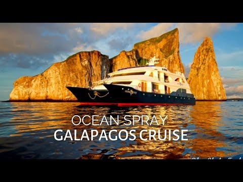 galapagos cruise ocean spray