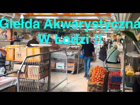 Zoo Fair in Łódź – Fish, Breeders and Interesting Specimens | My Report