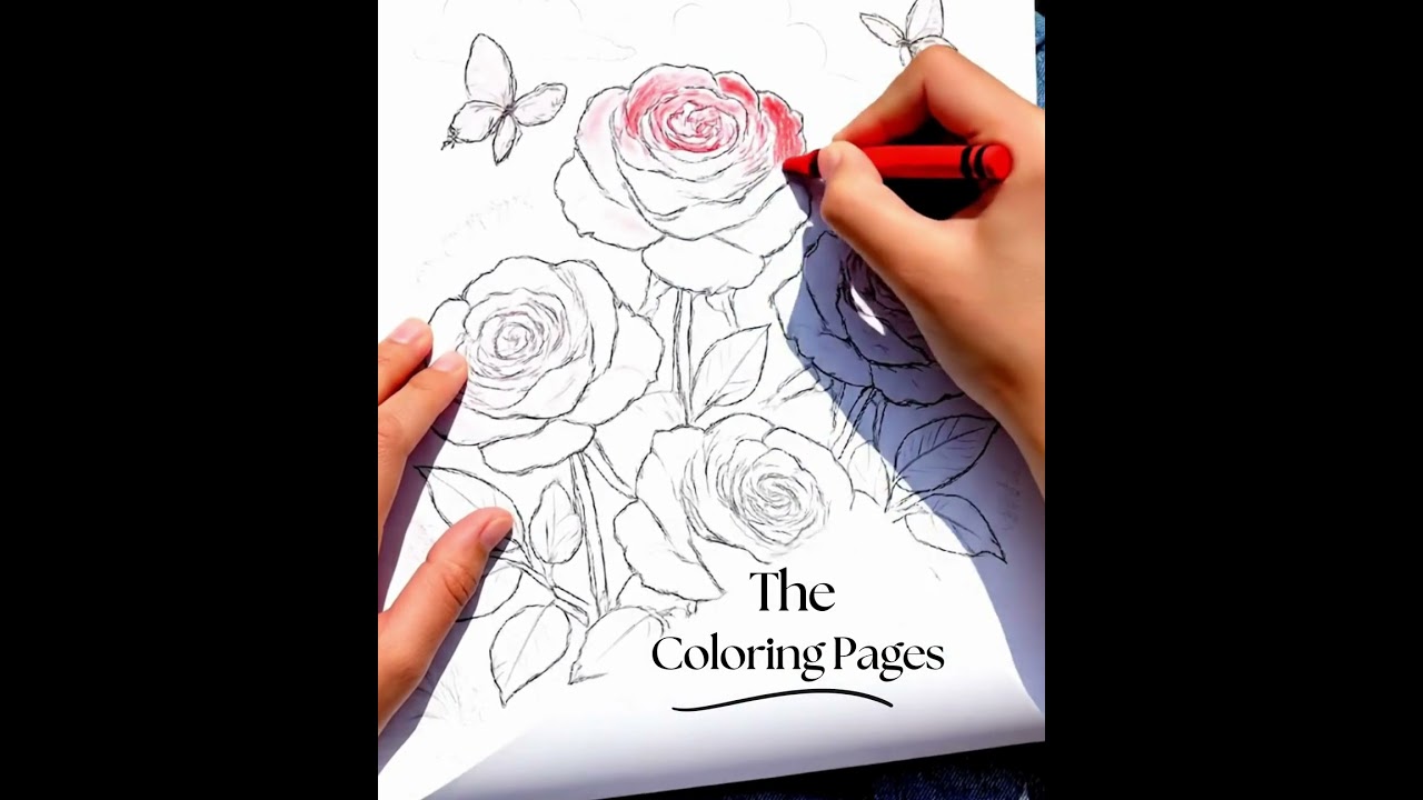 Free Printable Rose Coloring Pages for Kids and Adults Beautiful Floral Designs to Color!!