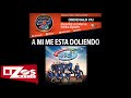 BANDA MS - A MI ME ESTA DOLIENDO (LETRA)