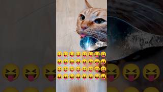 2026/4/25_56 貪吃SV #橘ひなの #橘貓 #橘猫 #貓咪日常 #cat #cute