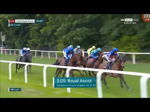 龍船狀元 G070 英國漢普頓宮錦標第六 (淺藍衫袖帽大白鼻)