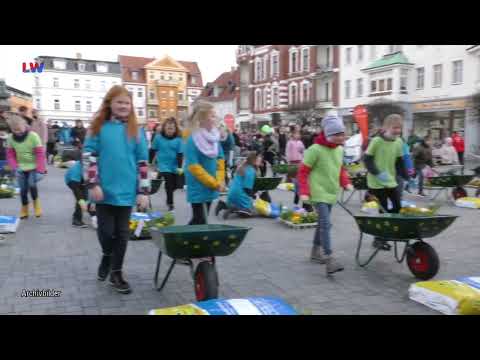 Elsterwerda: Größte Schulgartenstunde Brandenburgs am 14.März - LAUSITZWELLE