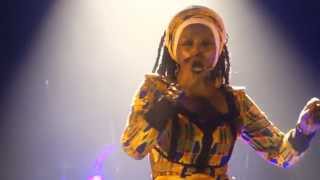 LIVE Mo'kalamity & The Wizards - Jah Name