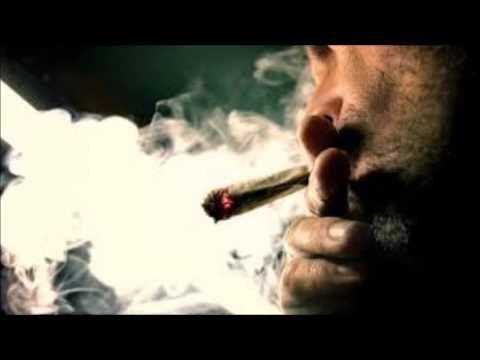 T-NORD CARDENAL - SOLO - feat N°3