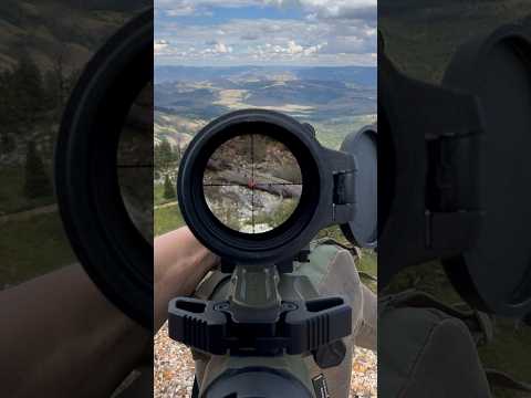 POV through a Leupold MK5 3.6-18 mounted on a Radian 14.5” pinned AR