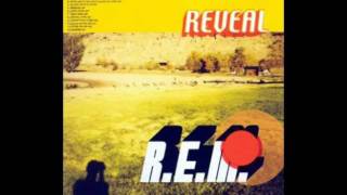 R.E.M. - Imitation Of Life (HQ+Lyrics)