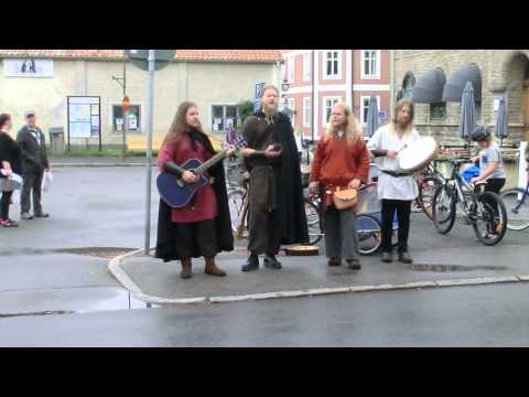 Grimner - Den gamle Talar (Månegarm cover) Live @ Vadstena Gille