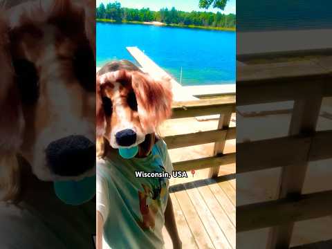 Always Connected 🧡 #therian #therianthropy #alterhuman #furry #trend #shorts #fyp #tiktok #cringe