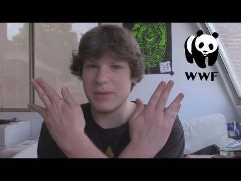 Sunday 11th May: Introducing... Thijn!