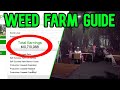 Gta 5 Weed Farm Solo Guide How To Make Money With Weed Business Gta Online
