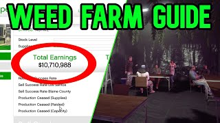 Gta 5 Weed Farm Solo Guide - How to Make Money With Weed Business Gta Online
